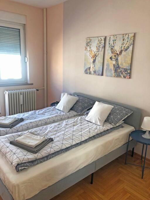 Quince Apartment Belgrade Extérieur photo